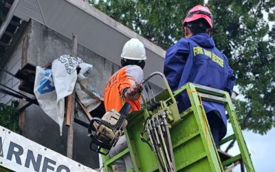 Pohon Mahoni Tumbang Timpa Toko Warga, Tim Gabungan Bergerak Cepat di Gemuruh